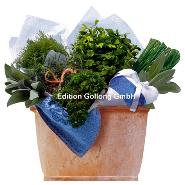 Klappkarte Krutertopf